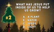 Question 2