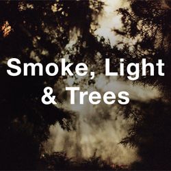 Stock Videography: Smoke, Light & Trees